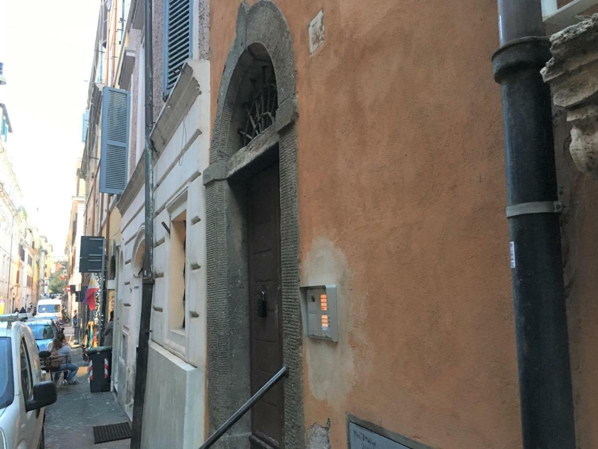 Chroma Apt Farinone 28 — Photos 2
